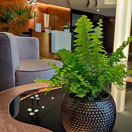 Bazuny Hotel&Spa Kościerzyna Eksteriør bilde