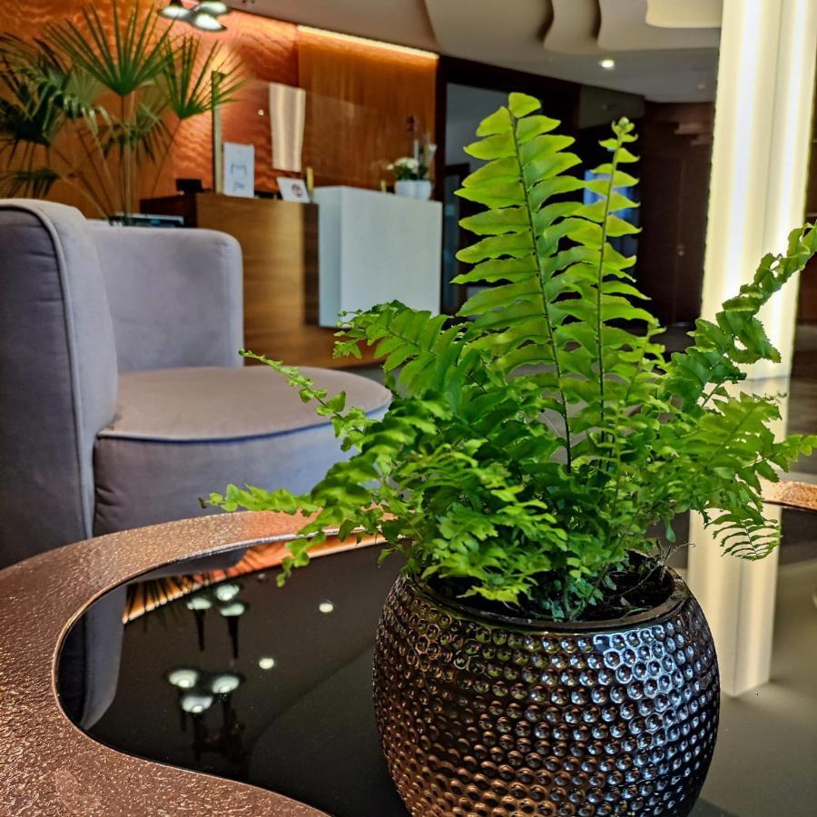 Bazuny Hotel&Spa Kościerzyna Eksteriør bilde